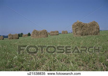 Stock Photography - Scenery Of Hay. Fotosearch