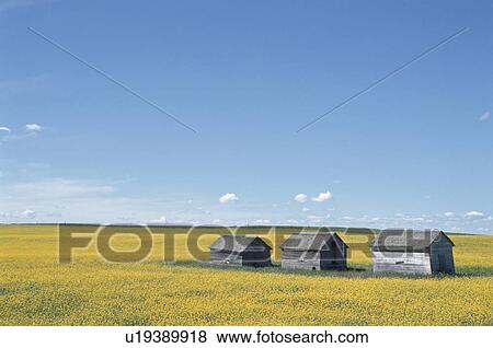 Stock Photo - The Hut In A Prairie. Fotosearch
