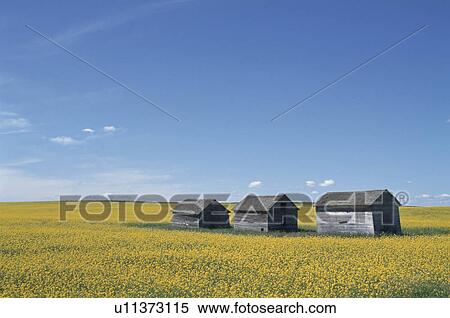 The Hut In A Prairie View Large Photo Image Stock Photography - The Hut In A Prairie. Fotosearch