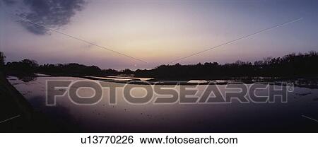 The Paddy Field In Twilight View Large Photo Image Stock Photograph - The Paddy Field In Twilight. Fotosearch