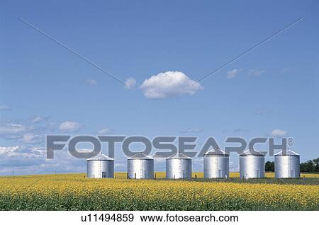 The Silo In A Prairie View Large Photo Image Stock Photo - The Silo In A Prairie. Fotosearch