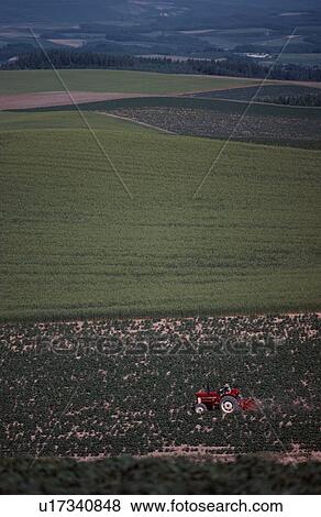 Tractor In Field View Large Photo Image Stock Photo - Tractor In Field. Fotosearch