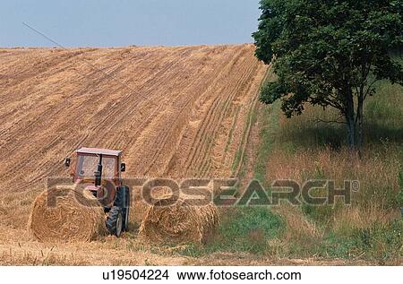 Picture - Tractor Near Haystack In Field. Fotosearch