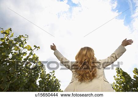 Woman raising arms in vineyard (rear view, low angle view) View Large Photo Image Picture - Woman raising arms in vineyard (rear view, low angle view). Fotosearch