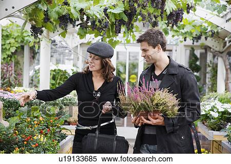 Couple shopping plants at garden center View Large Photo Image Stock Photography - Couple shopping plants at garden center. Fotosearch