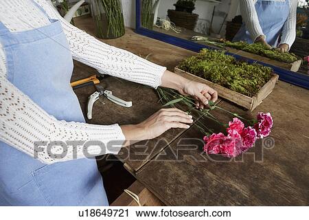 Stock Image - Florist arranging Carnation flowers (close-up, high angle view). Fotosearch