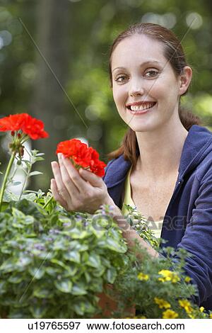 Stock Photo - Woman holding Geranium flower. Fotosearch
