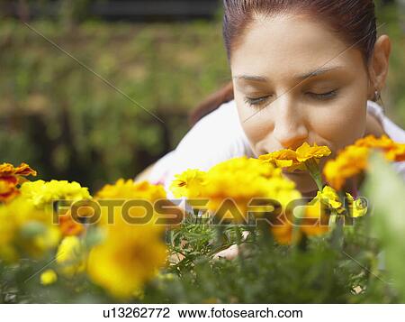 Stock Image - Woman smelling flowers (close-up). Fotosearch