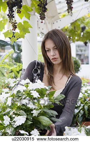 Young woman shopping flowers View Large Photo Image Stock Photography - Young woman shopping flowers. Fotosearch