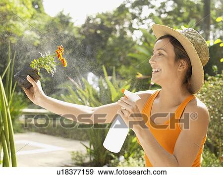 Stock Photo - Young woman spraying water on flower. Fotosearch