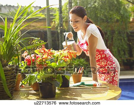 Stock Photograph - Young woman watering Begonias. Fotosearch
