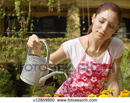 Young woman watering flowers View Large Photo Image Stock Image - Young woman watering flowers. Fotosearch