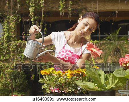 Young woman watering plants View Large Photo Image Stock Photography - Young woman watering plants. Fotosearch