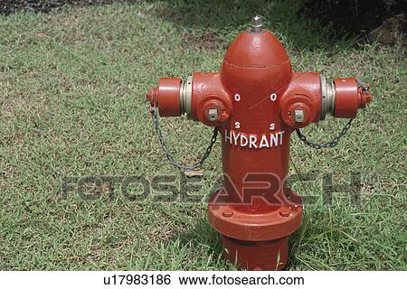 The Hydrant On A Lawn View Large Photo Image Stock Photograph - The Hydrant On A Lawn. Fotosearch