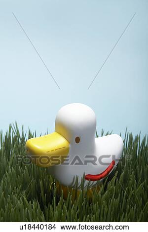 Plastic Toy Duck View Large Photo Image Picture - Plastic Toy Duck. Fotosearch