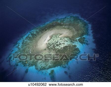 Coral View Large Photo Image Stock Image - Coral. Fotosearch
