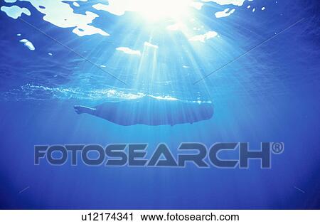 Stock Image - Sperm Whale. Fotosearch