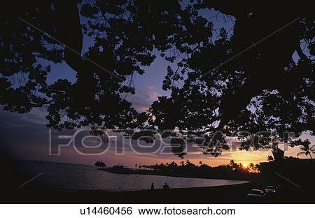 The Beach Of Twilight View Large Photo Image Stock Photograph - The Beach Of Twilight. Fotosearch