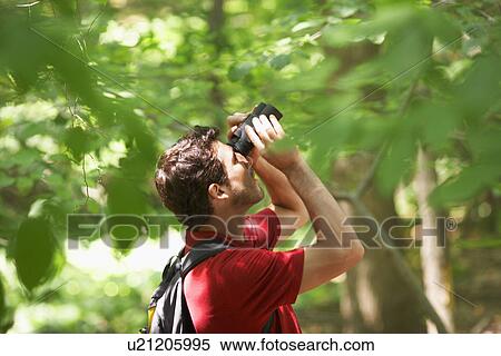 Man watching birds in forest View Large Photo Image Stock Photography - Man watching birds in forest. Fotosearch