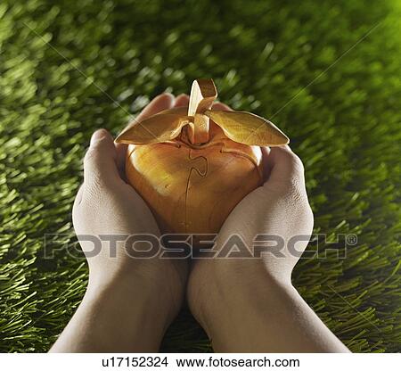Person Holding Apple Made From Wood View Large Photo Image Picture - Person Holding Apple Made From Wood. Fotosearch