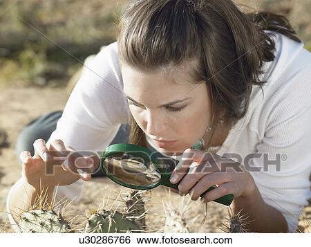 Young woman looking at cactus through magnifying glass View Large Photo Image Stock Photograph - Young woman looking at cactus through magnifying glass. Fotosearch