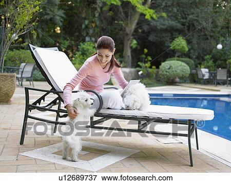 Woman relaxing with poodles by swimming pool View Large Photo Image Stock Photo - Woman relaxing with poodles by swimming pool. Fotosearch