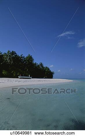 Stock Image - A Beach And A Coconut. Fotosearch