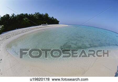 A Beach And A Coconut View Large Photo Image Stock Photo - A Beach And A Coconut. Fotosearch