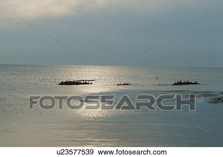 Stock Photo - Clouds Above Sea. Fotosearch