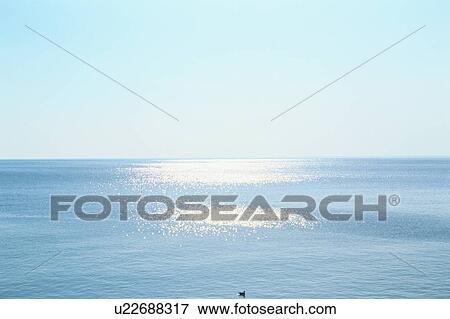 North Pacific Ocean With Bird View Large Photo Image Stock Photo - North Pacific Ocean With Bird. Fotosearch