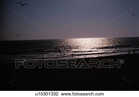 Stock Image - Sunlight At Beach. Fotosearch