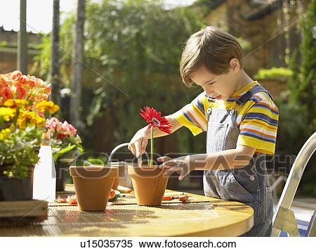 Stock Photography - Boy planting flowers. Fotosearch