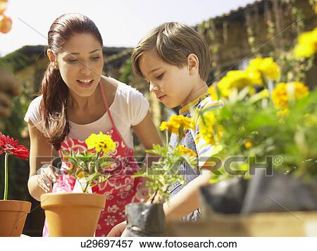 Stock Photo - Mother and son planting flowers (low angle view). Fotosearch