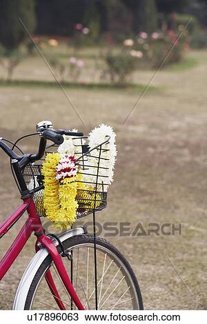 Garland in the basket of a bicycle View Large Photo Image Stock Image - Garland in the basket of a bicycle. Fotosearch