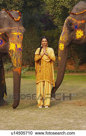 Stock Image - Young woman standing in a prayer position with two decorated elephants. Fotosearch