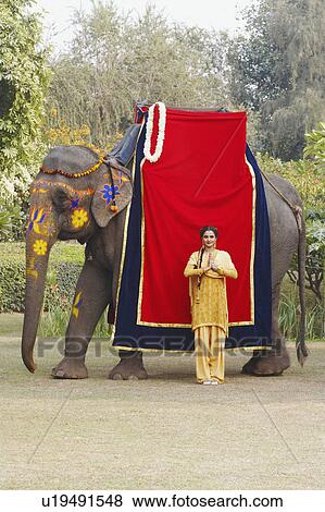Stock Photo - Young woman standing in a prayer position beside an elephant. Fotosearch