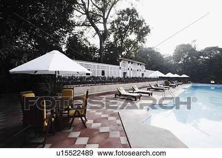 Lounge chairs at the poolside View Large Photo Image Stock Photo - Lounge chairs at the poolside. Fotosearch