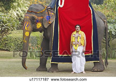 Priest standing beside an elephant View Large Photo Image Stock Photo - Priest standing beside an elephant. Fotosearch