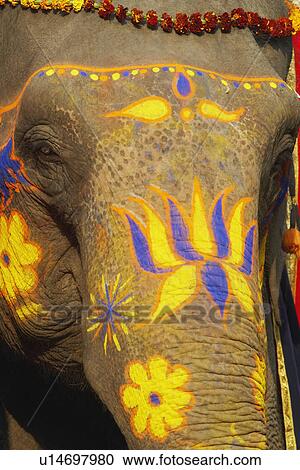 Stock Image - Close-up of a decorated elephant. Fotosearch