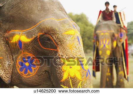 Stock Image - Close-up of two decorated elephants. Fotosearch