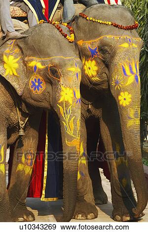 Close-up of two decorated elephants View Large Photo Image Stock Photo - Close-up of two decorated elephants. Fotosearch