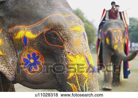 Stock Photo - Close-up of two decorated elephants. Fotosearch