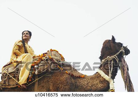 Low angle view of a young woman riding a camel View Large Photo Image Stock Photography - Low angle view of a young woman riding a camel. Fotosearch