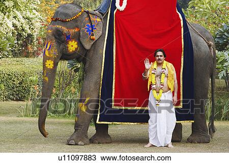 Priest standing beside an elephant View Large Photo Image Stock Image - Priest standing beside an elephant. Fotosearch