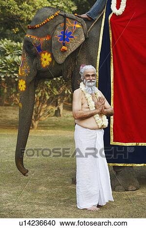 Priest standing beside an elephant View Large Photo Image Stock Image - Priest standing beside an elephant. Fotosearch