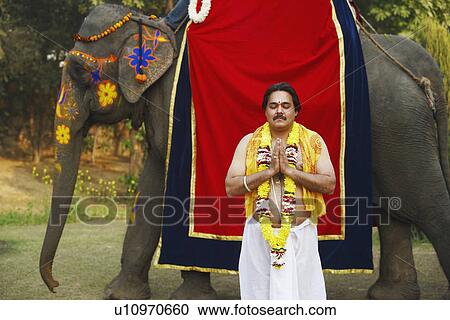 Stock Image - Priest standing in a prayer position beside an elephant. Fotosearch