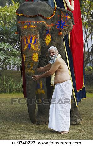 Priest touching the trunk of an elephant View Large Photo Image Stock Photo - Priest touching the trunk of an elephant. Fotosearch