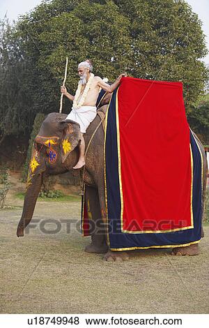 Stock Photo - Side profile of a priest riding an elephant. Fotosearch