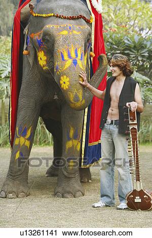Young man touching the trunk of an elephant View Large Photo Image Stock Image - Young man touching the trunk of an elephant. Fotosearch