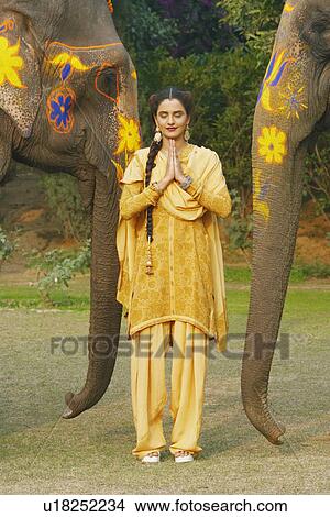 Young woman greeting in front of two elephants View Large Photo Image Picture - Young woman greeting in front of two elephants. Fotosearch